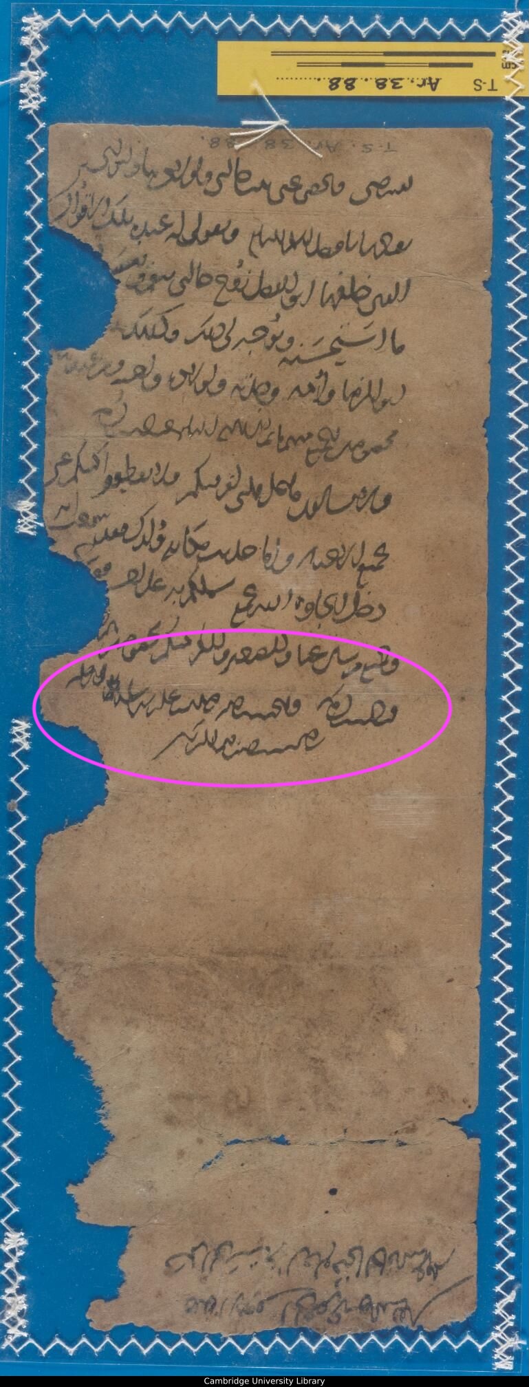 Document, with lots of damage to its edges, containing Arabic script. Lying on a blue background. Author has superimposed a pink ring to highlight some parts of the text.