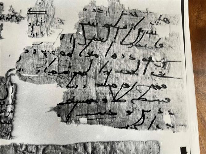 Fraction of papyrus described in article