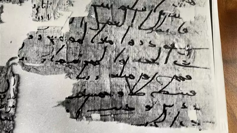 Fraction of papyrus described in article