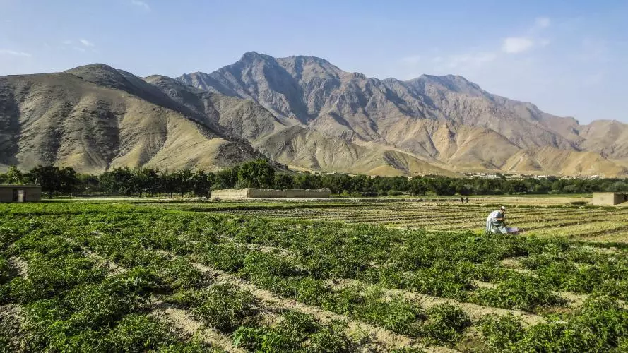 2022 07 26 afghan countryside