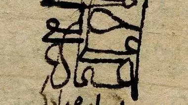 fig