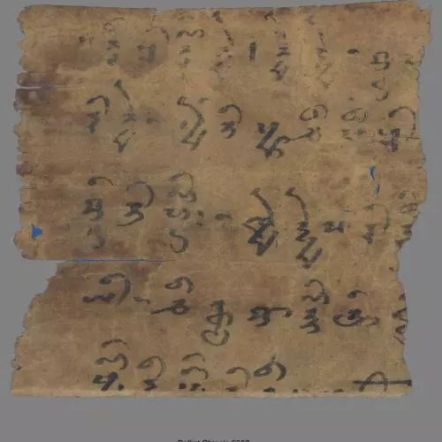 brahmi text