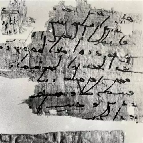 Fraction of papyrus described in article