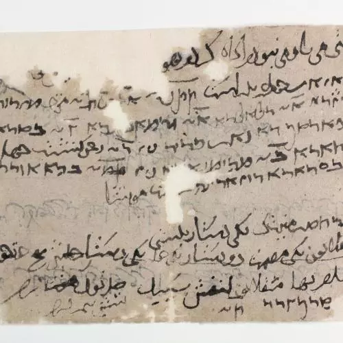 ms heb 8333 1434ie15954442