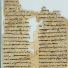 mmp text for blog 7 2