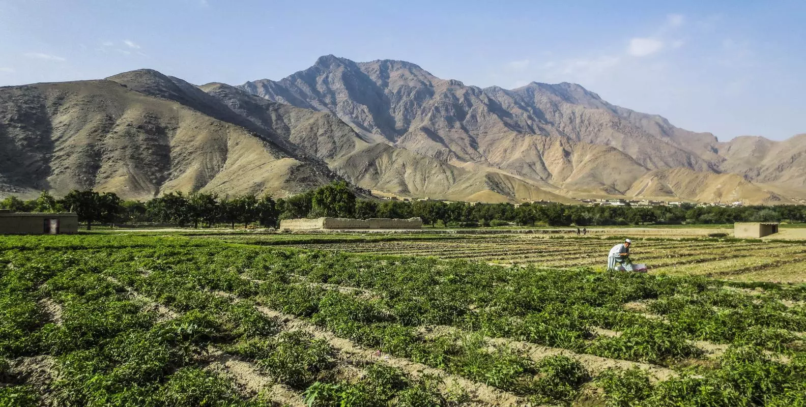 2022 07 26 afghan countryside