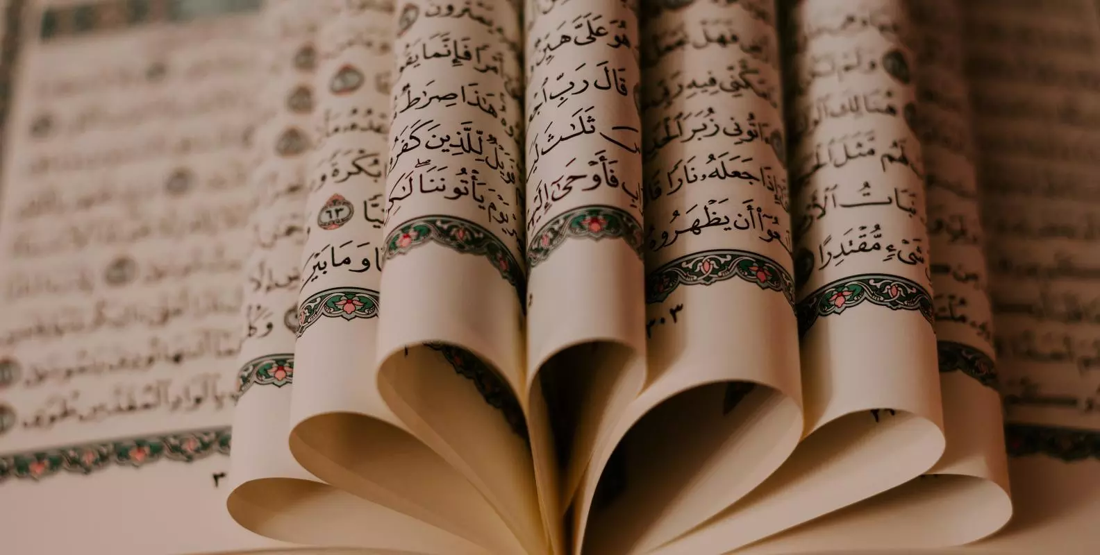 ashkan forouzani sfmsmz7ezxw unsplash