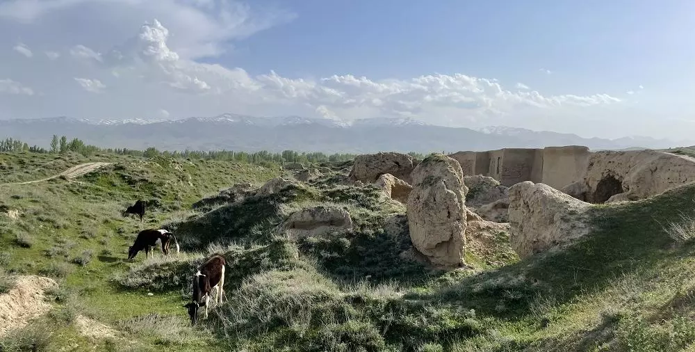 sogdians