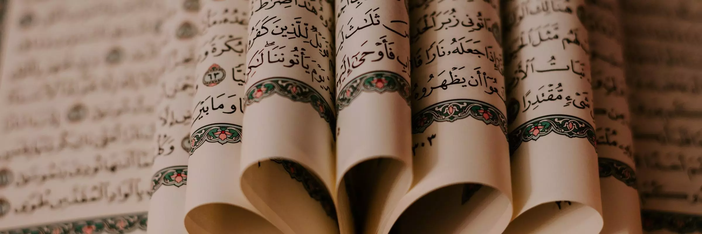 ashkan forouzani sfmsmz7ezxw unsplash