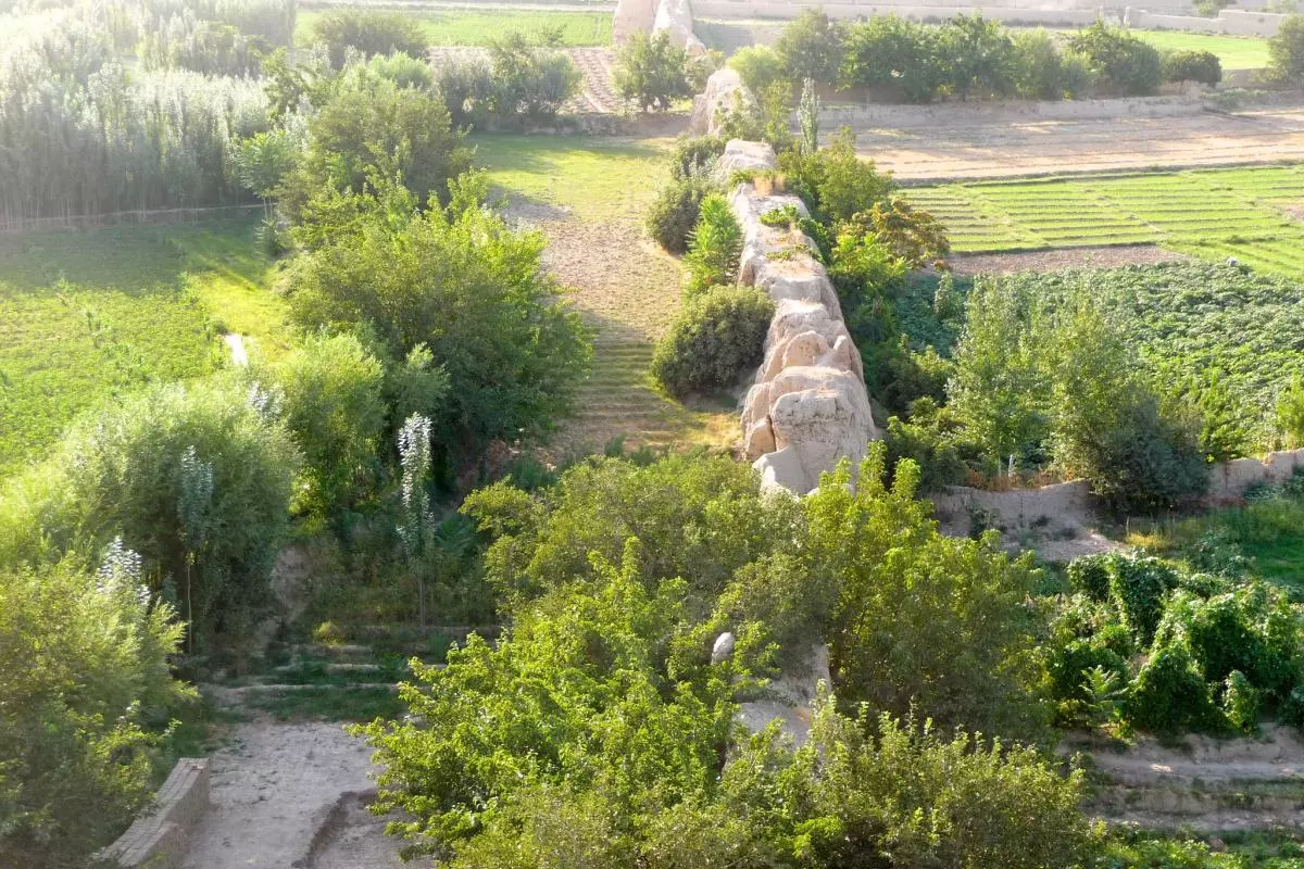 50690931211 142bf29f41 k